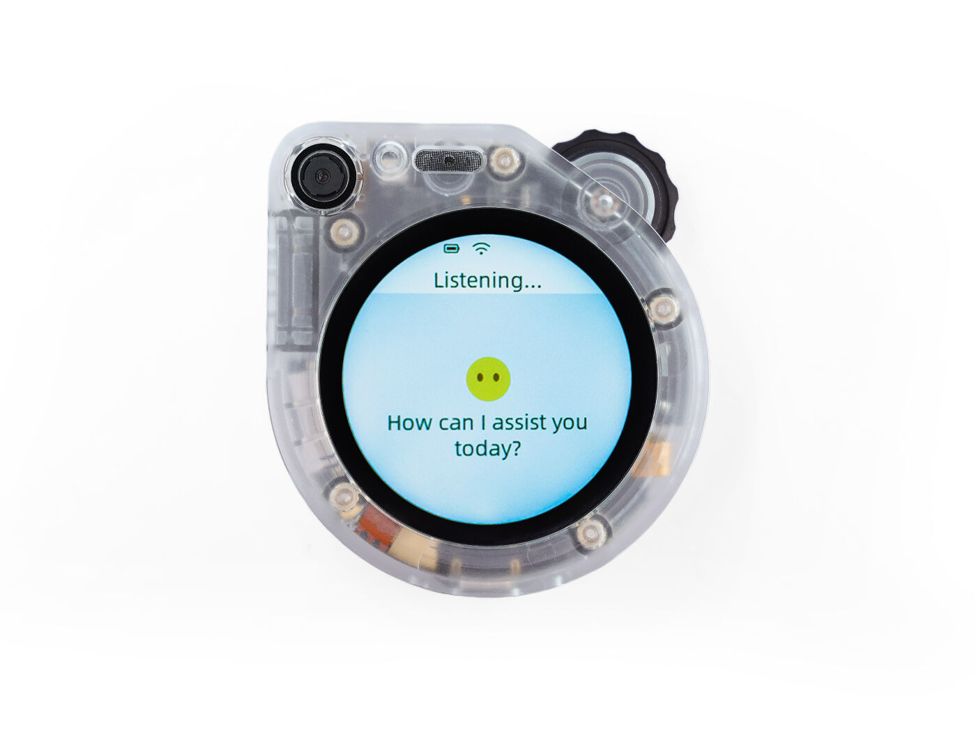 SenseCAP Watcher XiaoZhi Dispo - Smart Home Llm recensione e prezzo