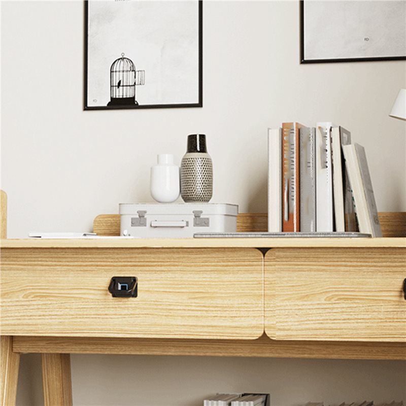N13R-(Durevole) Serratura Inte - Smart Home Furniture recensione e prezzo