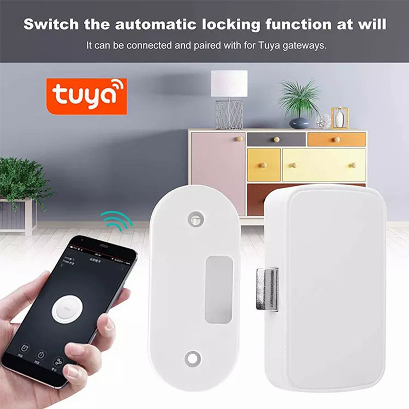 Serratura Intelligente Tuya pe - Smart Home Furniture recensione e prezzo