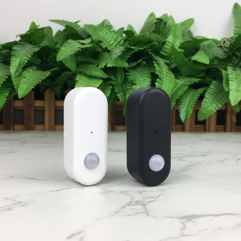 Tuya WiFi PIR Sensore di movim - Smart Home Ir recensione e prezzo